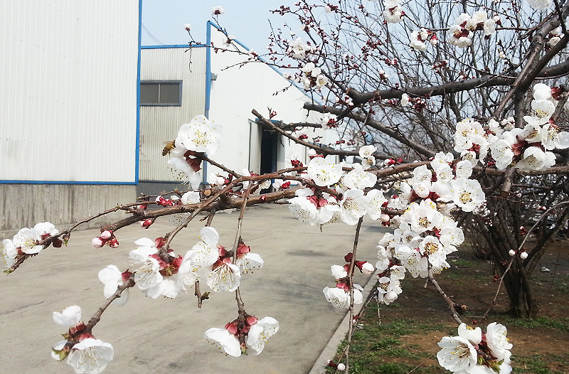 吉祥新世紀(jì)鋁塑板廠(chǎng)家環(huán)境